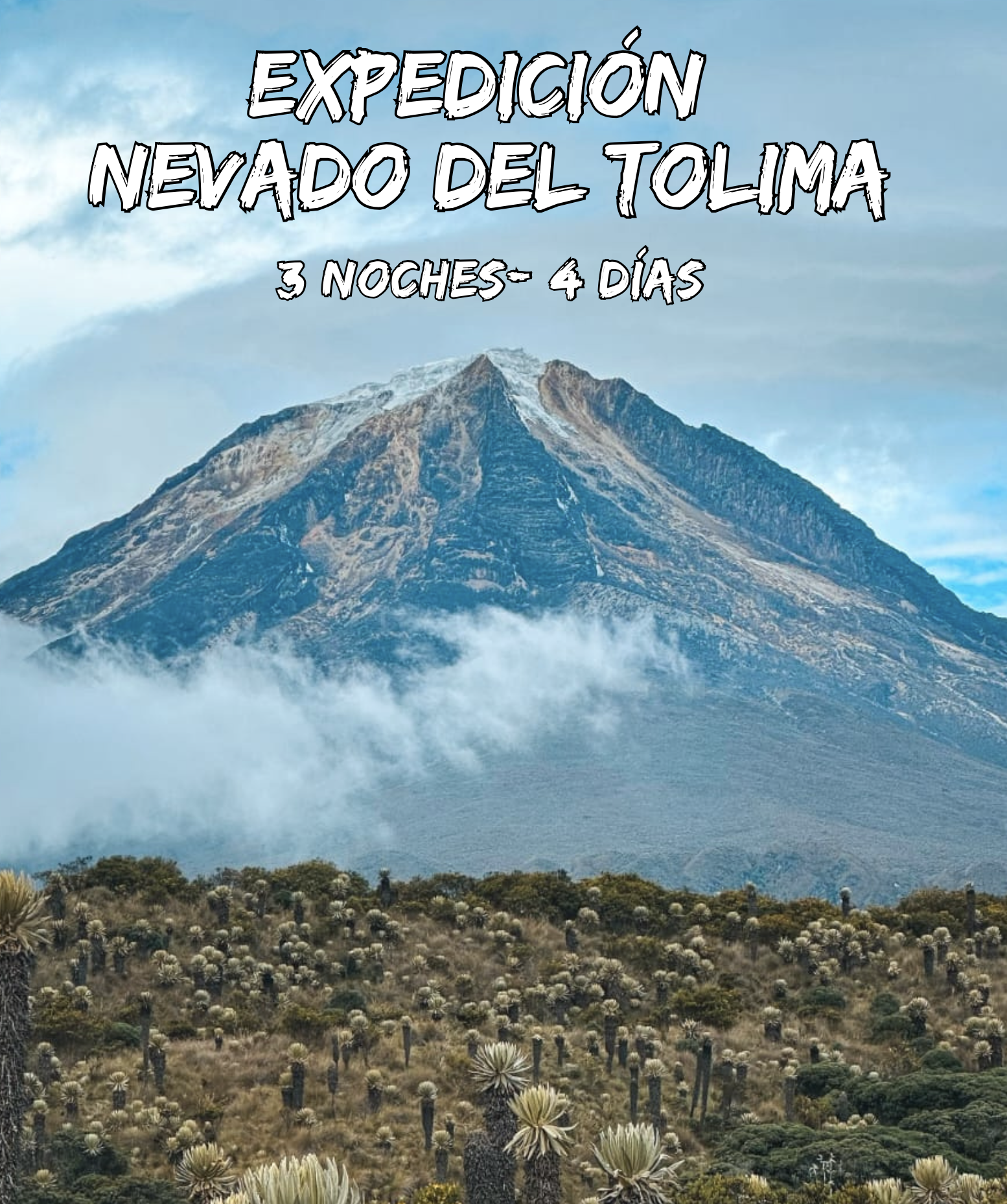 Captura de pantalla 2026-01-02 a la(s) 9.26.16 a.m.